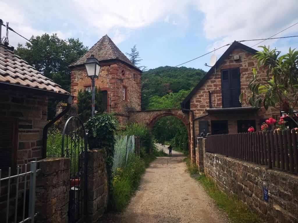 Wohnen im Herzen der Pfalz Neustadt an der Weinstraße Exterior foto